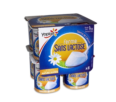 Yaourt nature sans lactose 4x125g