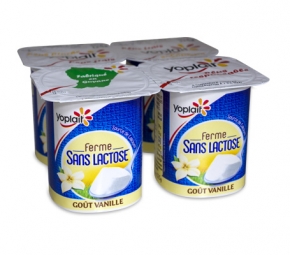 Vanille sans lactose